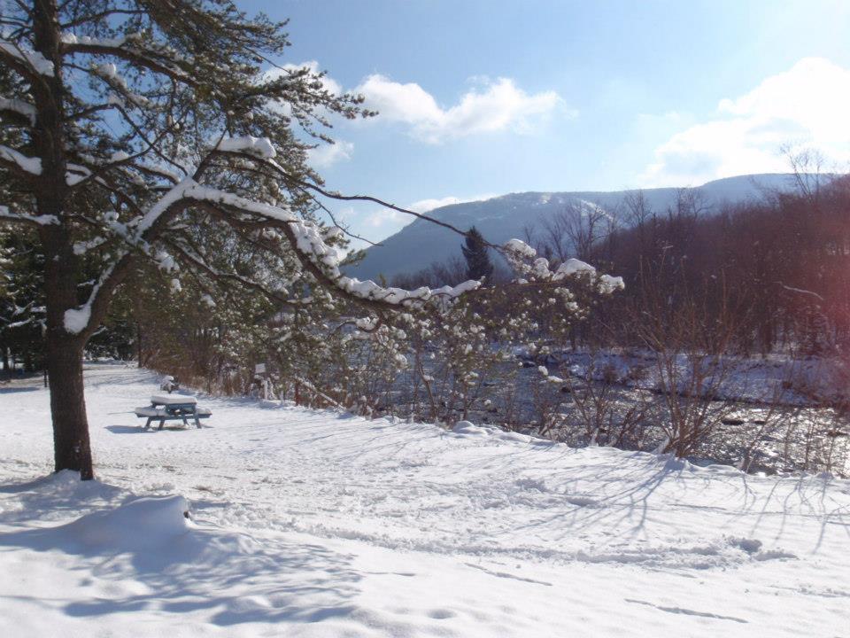 Hunter View Lodging Εξωτερικό φωτογραφία