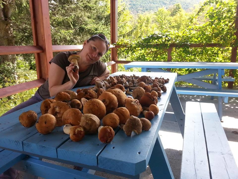 Hunter View Lodging Εξωτερικό φωτογραφία
